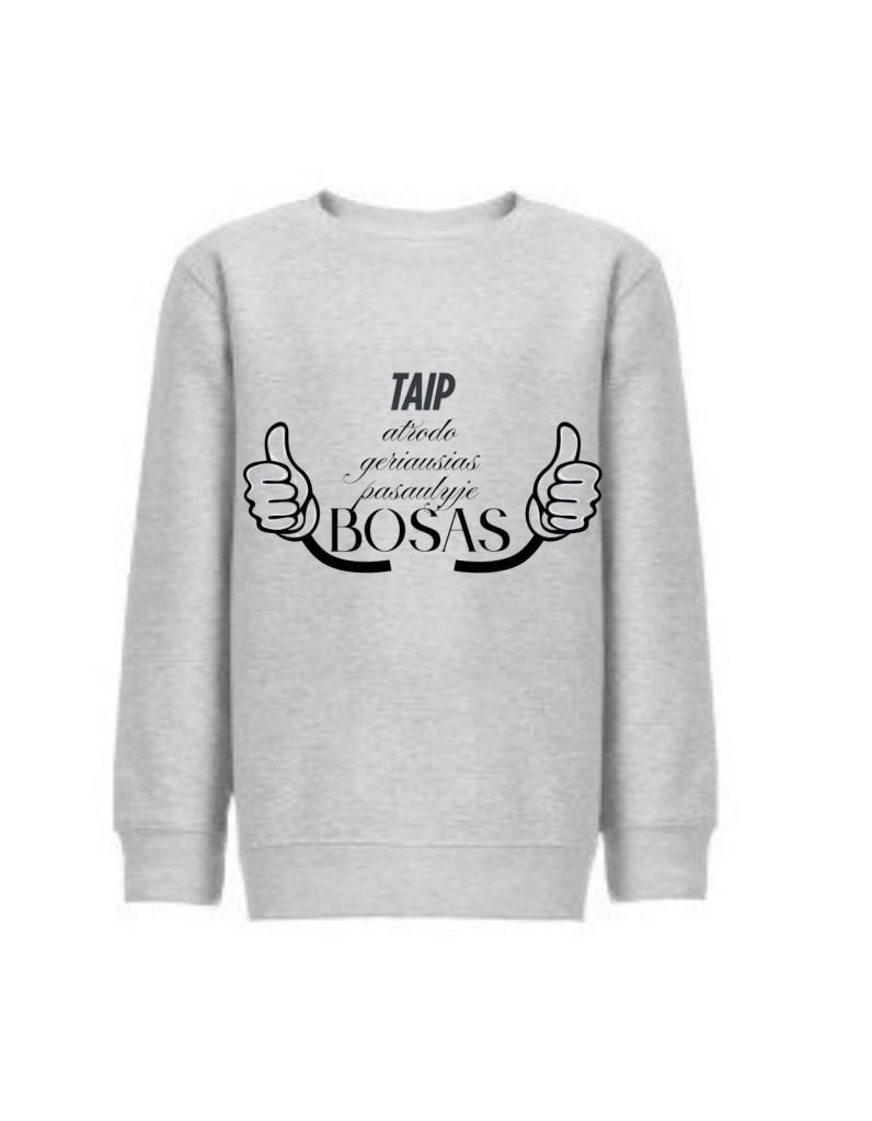 Vyriškas džemperis "Bosas"